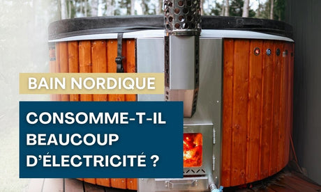 consommation electrique bain nordique